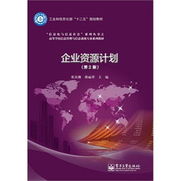 企業資源計劃系統與信息系統運行維護服務